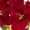16" Red & Gold Artificial Christmas Poinsettia Arrangement in Wrapped Pot
